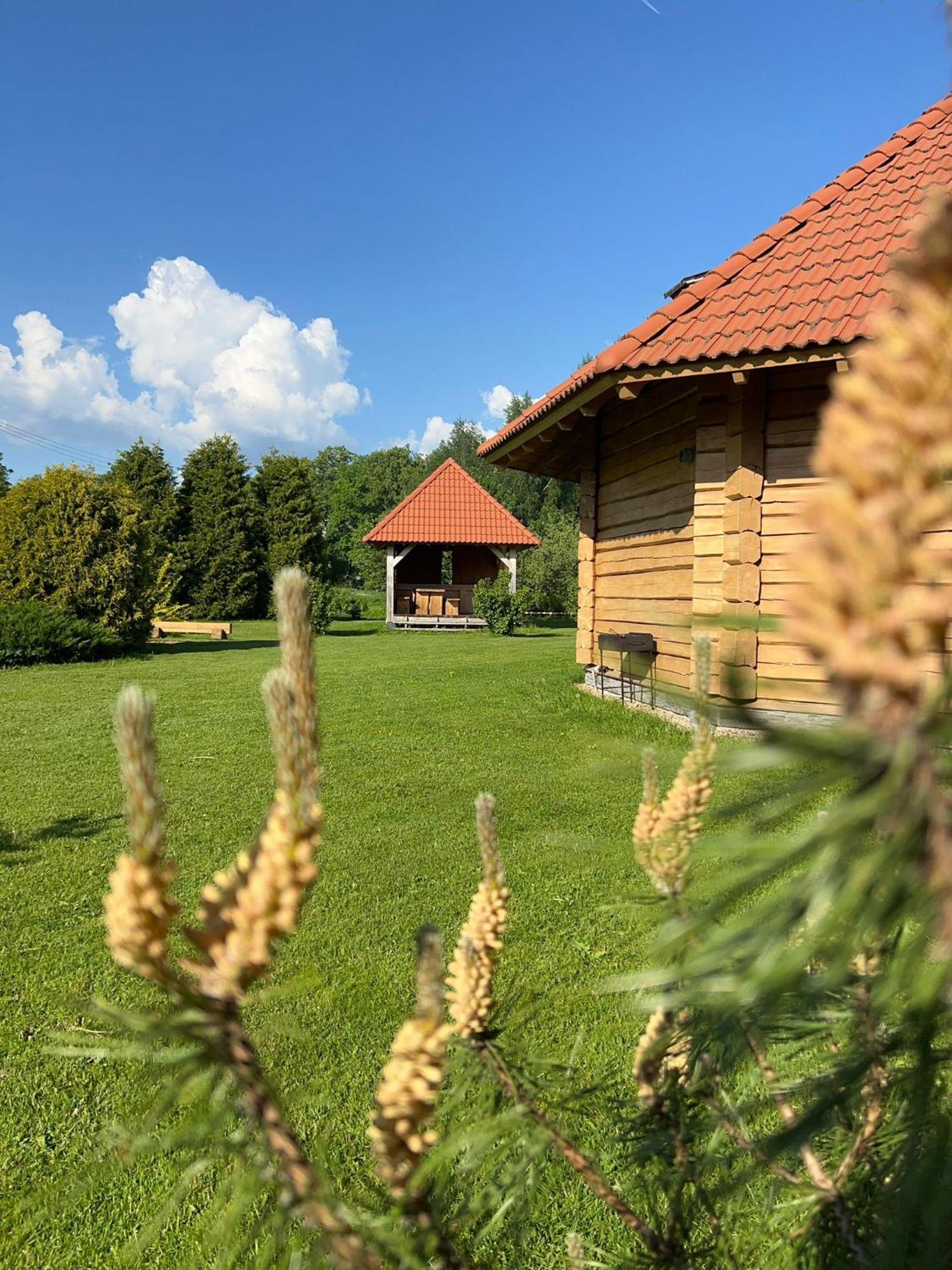 Holiday home Ziedu Pirts Auciems